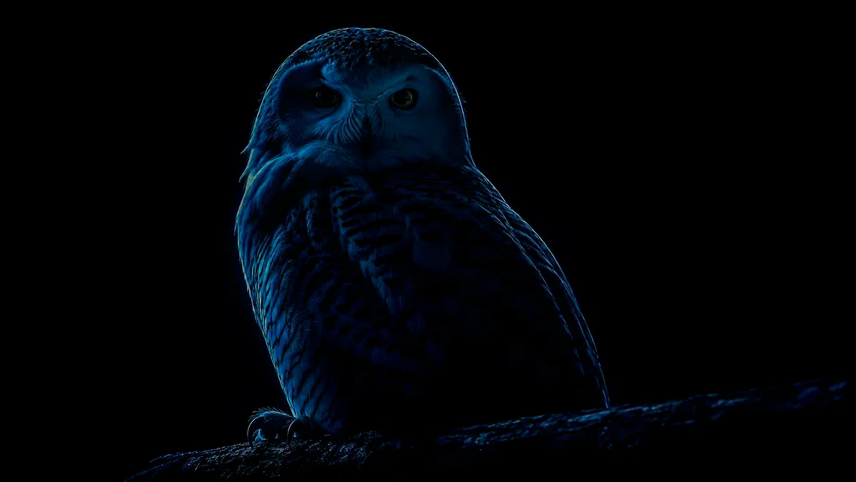 A woman's face emerges from darkness with sharp blue rim light