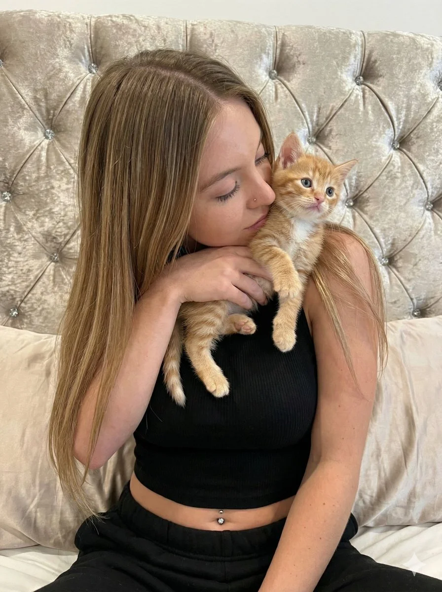 Affectionate Moments: A Cozy Cat Embrace