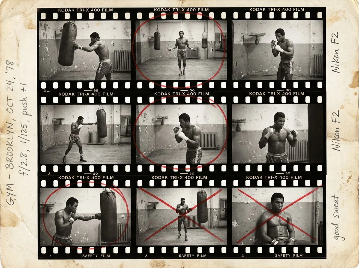 Behind the Lens: The Art of Analog Photography