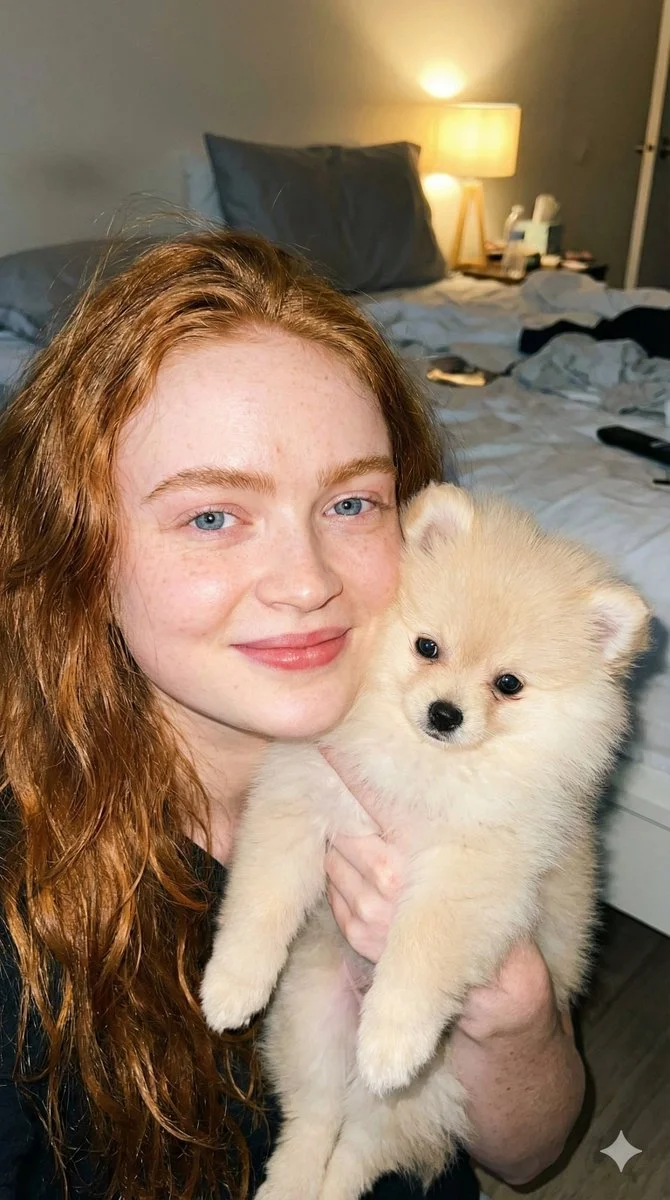 Candid Charm: A Playful Moment with a Pomeranian