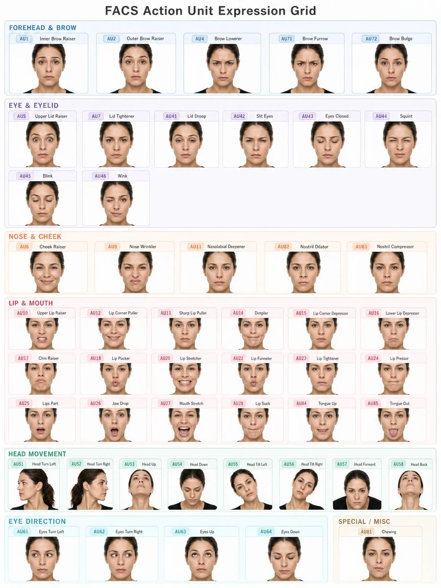 Comprehensive FACS Action Unit Grid for Realistic Expressions