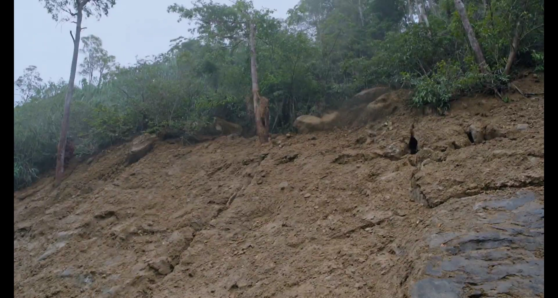 Landslide Chaos Engulfs Mountain Convoy