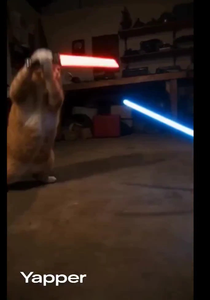Epic Lightsaber Duel Between Two Cats in 4K Cinematic Style