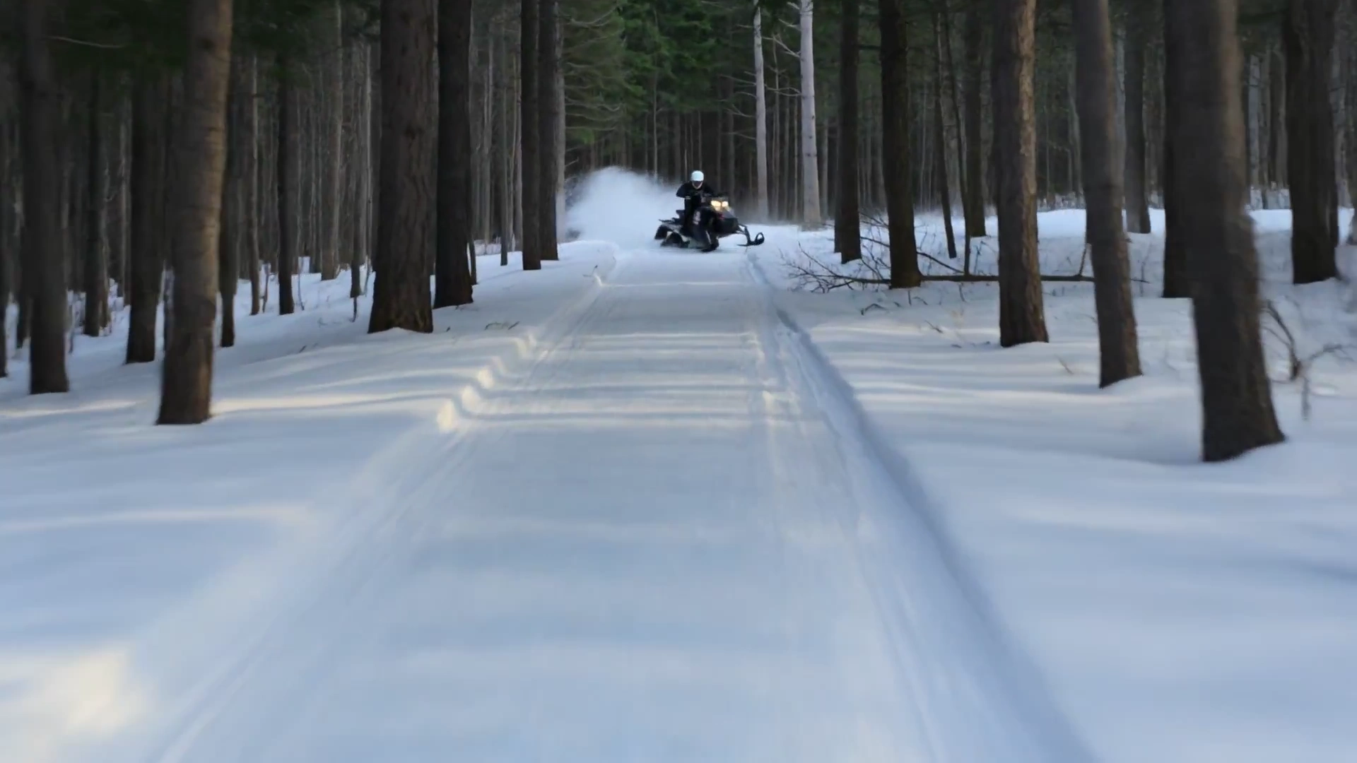Forest Drift and Winter Rooster Tails