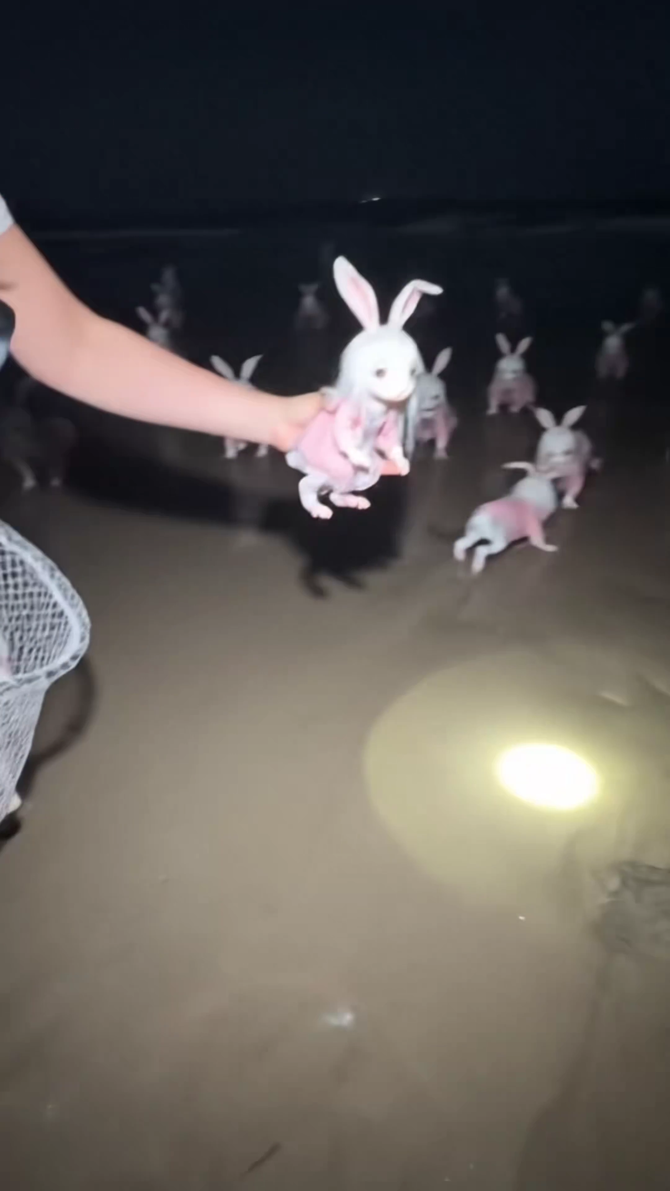 Frozen in Time: The Haunting LED Cascade in a Minimalist Gallery