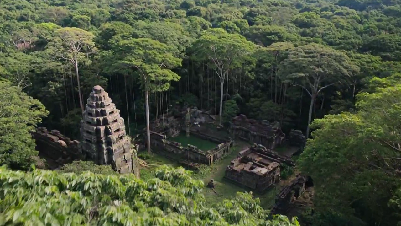 The Mystery of the Jungle: Ruins and a Fallen Giant
