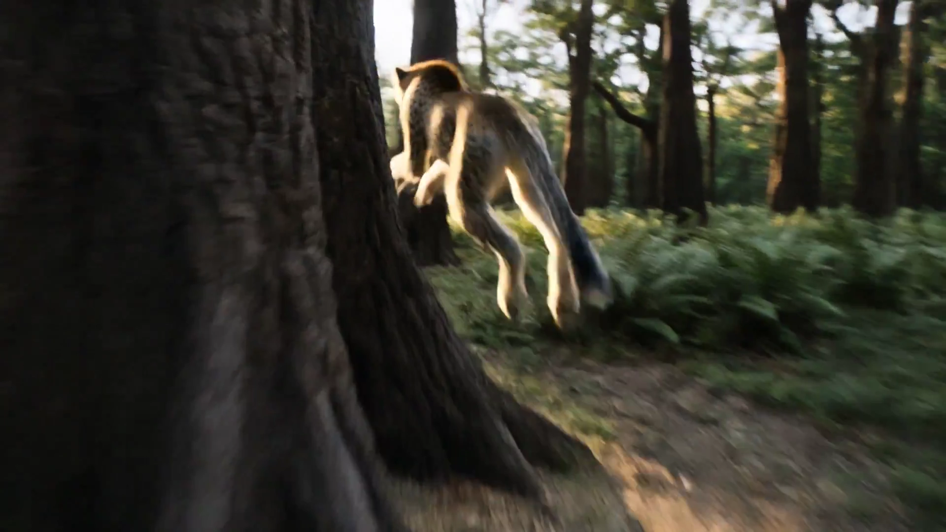 High-Speed Jungle Pursuit of a Cheetah in Razor Sharp Detail