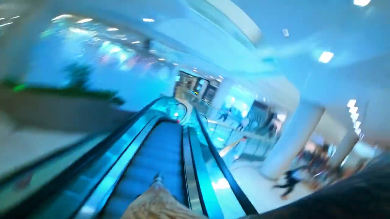 Chaos meets calm: eagle's fierce flight inside serene shopping mall
