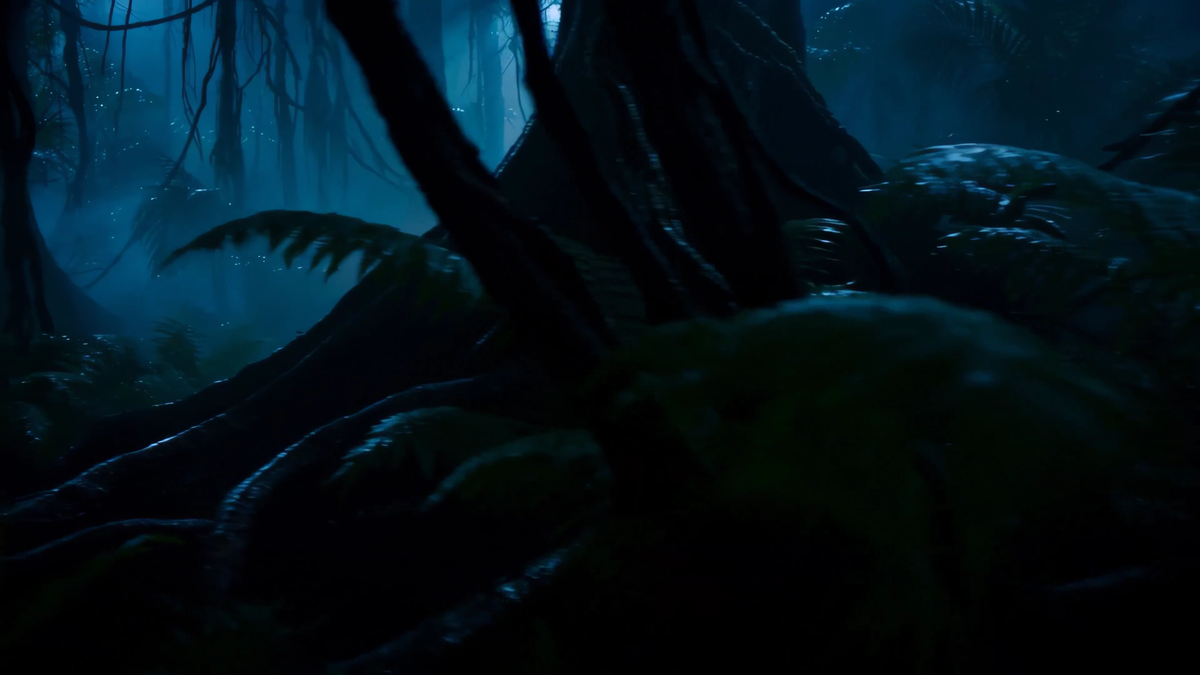 Fogbound Secrets: Unseen Forces in the Heart of a Thunderstorm Forest