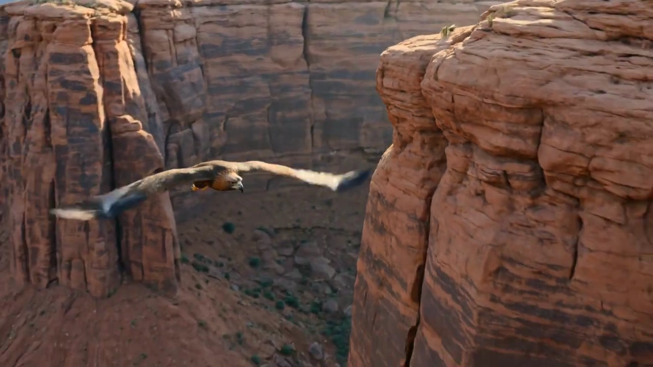 Cinematic Flight of a Majestic Eagle Over Rugged Cliffs