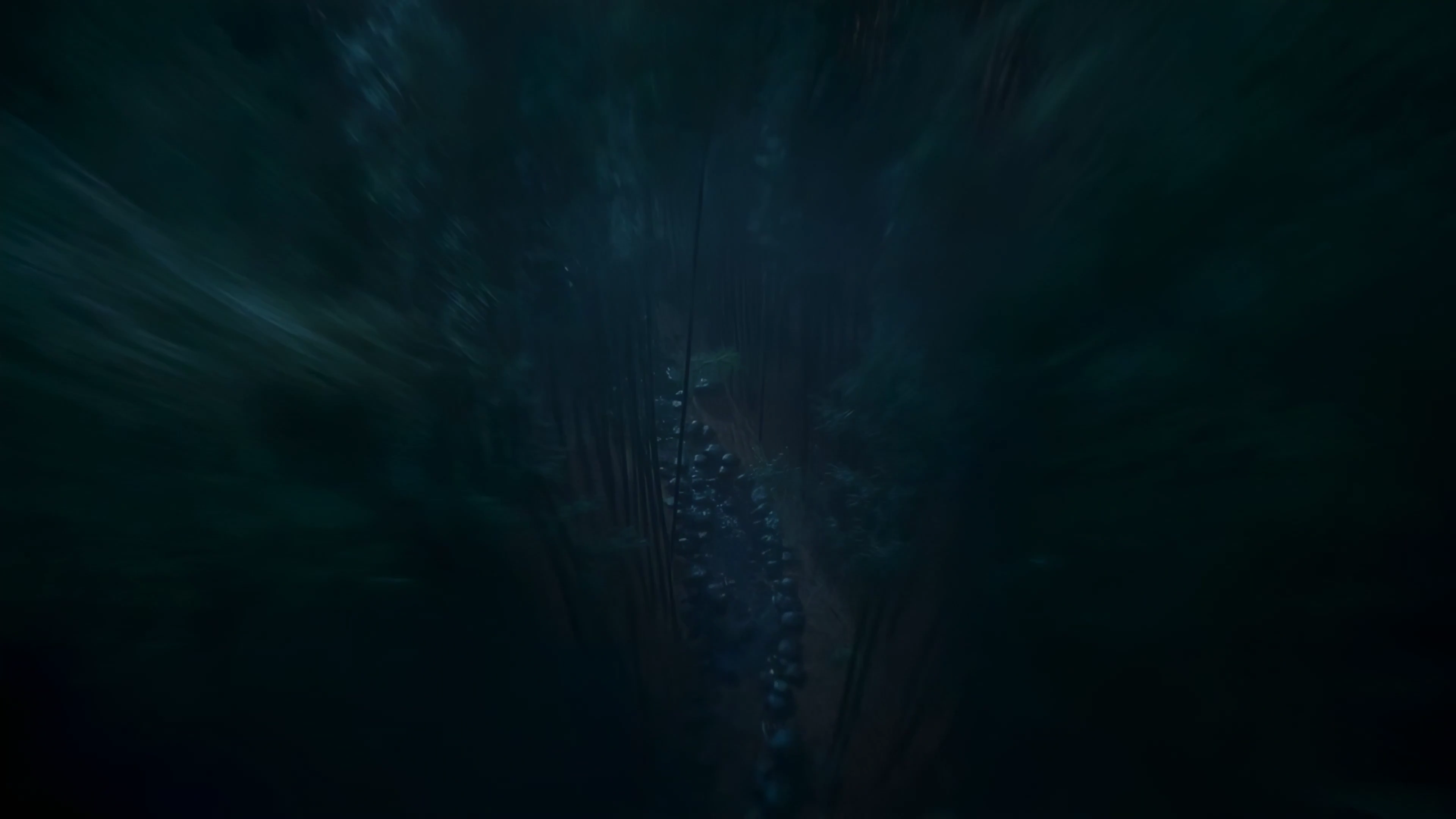 Moonlit Shadows: The Ronin's Defeat of the Assassins