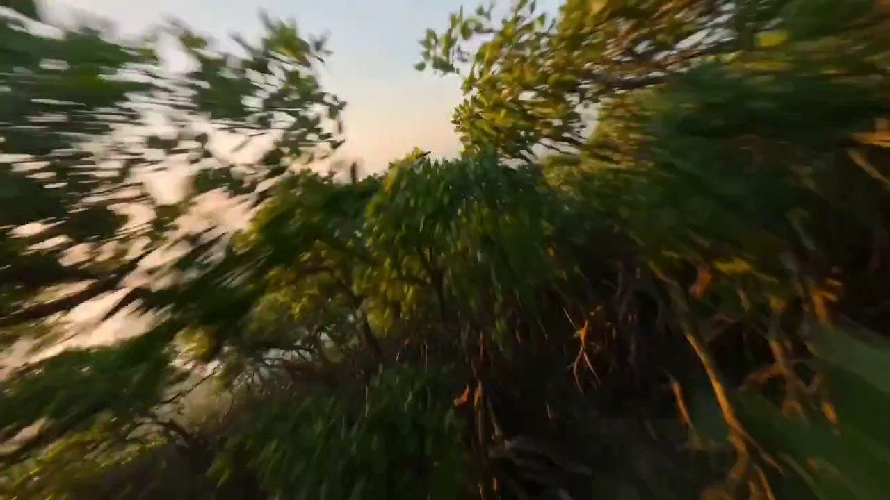 Cinematic FPV Journey Over Vanga's Legacy