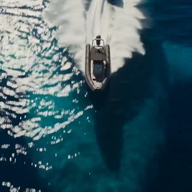 Megalodon Mayhem: A Naval Battle Unleashed