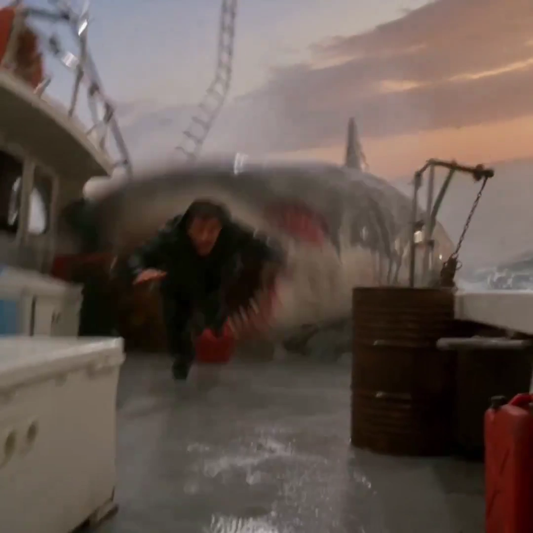 Tidal Terror: A Fateful Encounter with the Great White