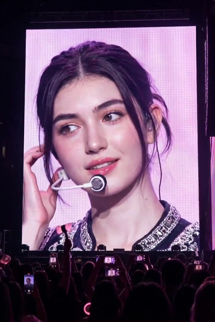 K-Pop Concert Magic: The Fan's Perspective