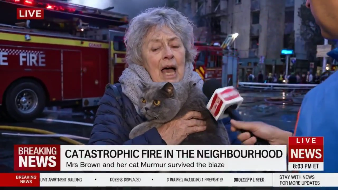 Elderly Woman Credits Her Cat for Saving Her Life