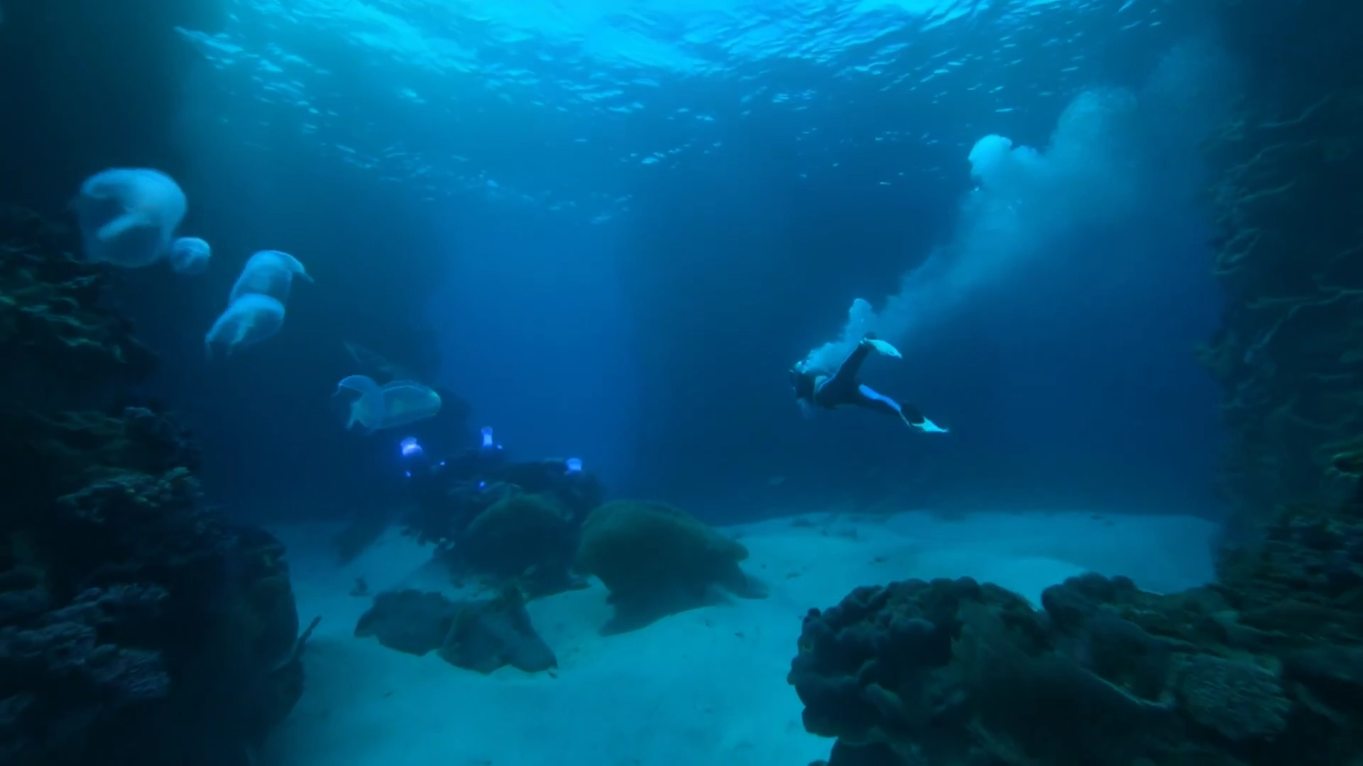 Deep-Sea Explorer Reaches Out to Ancient Wreck in Abyss