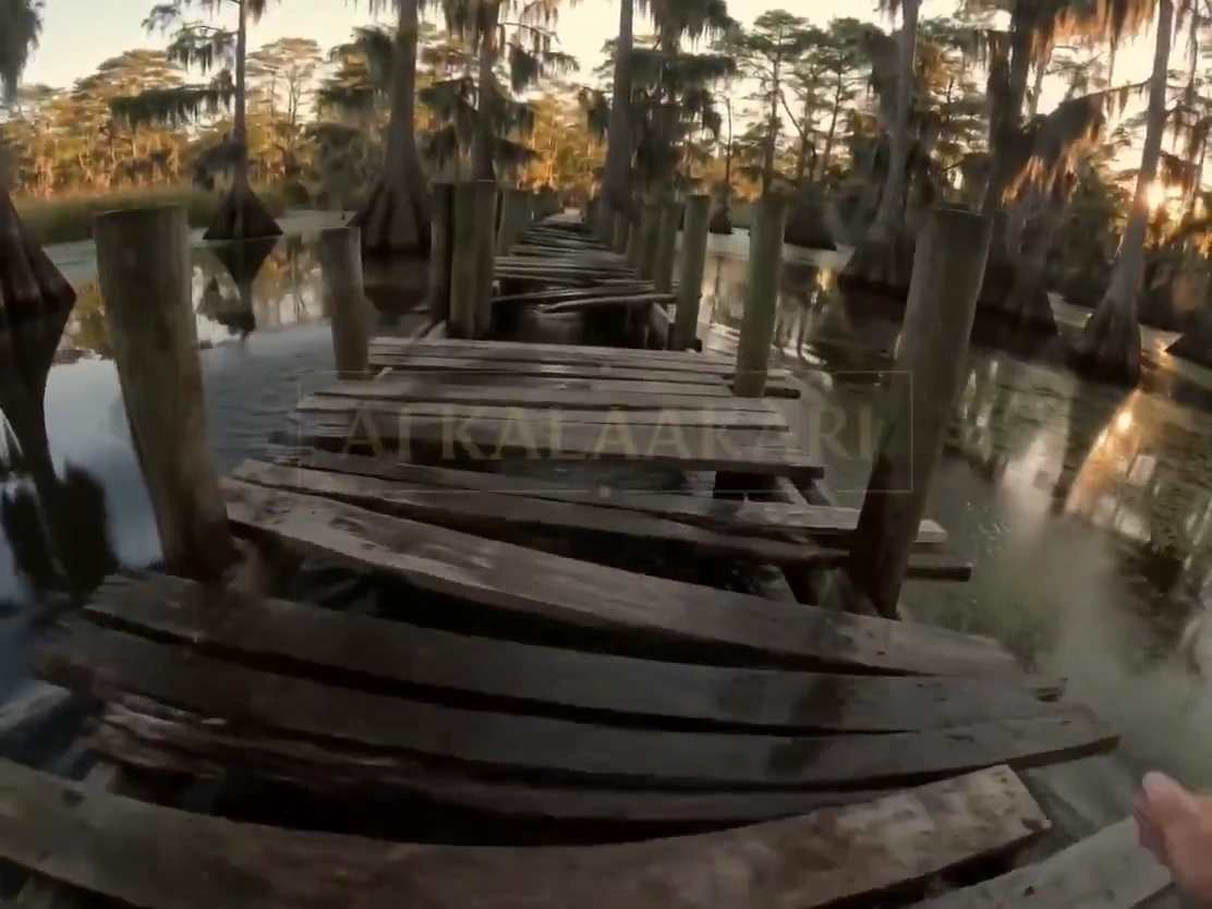 Cracking Planks Reveal a Giant Creature Below the Swamp