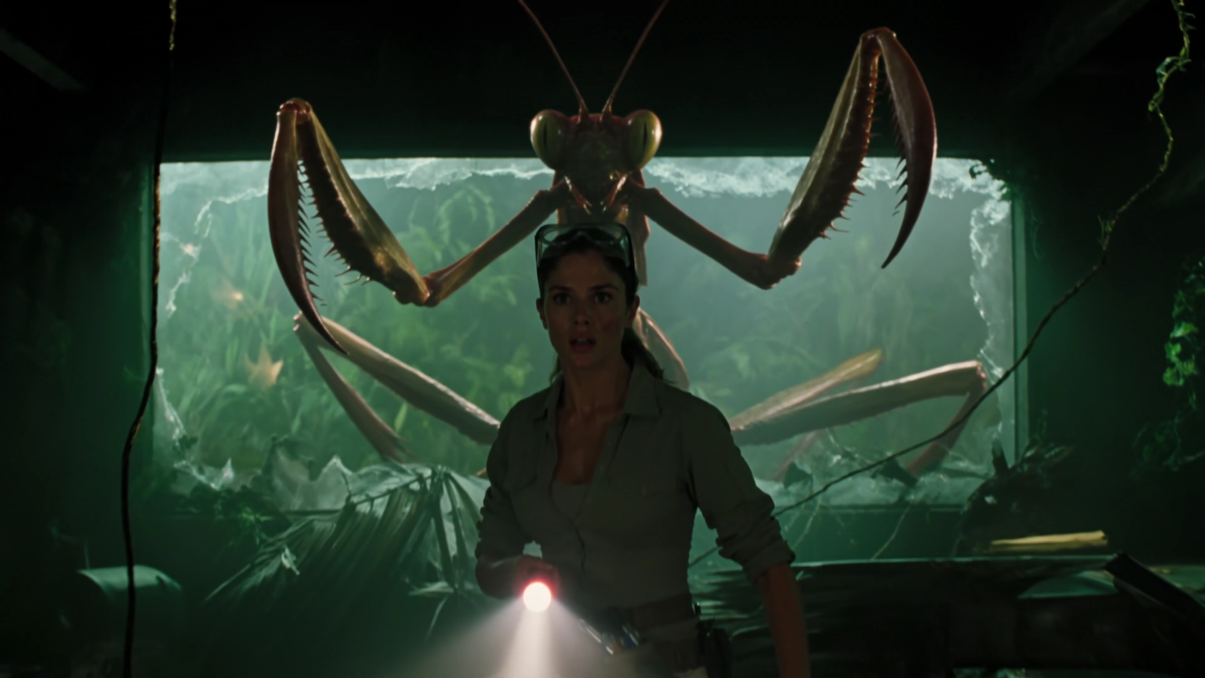 Electric Arc and Shattered Glass: Mantis Attack Unleashed