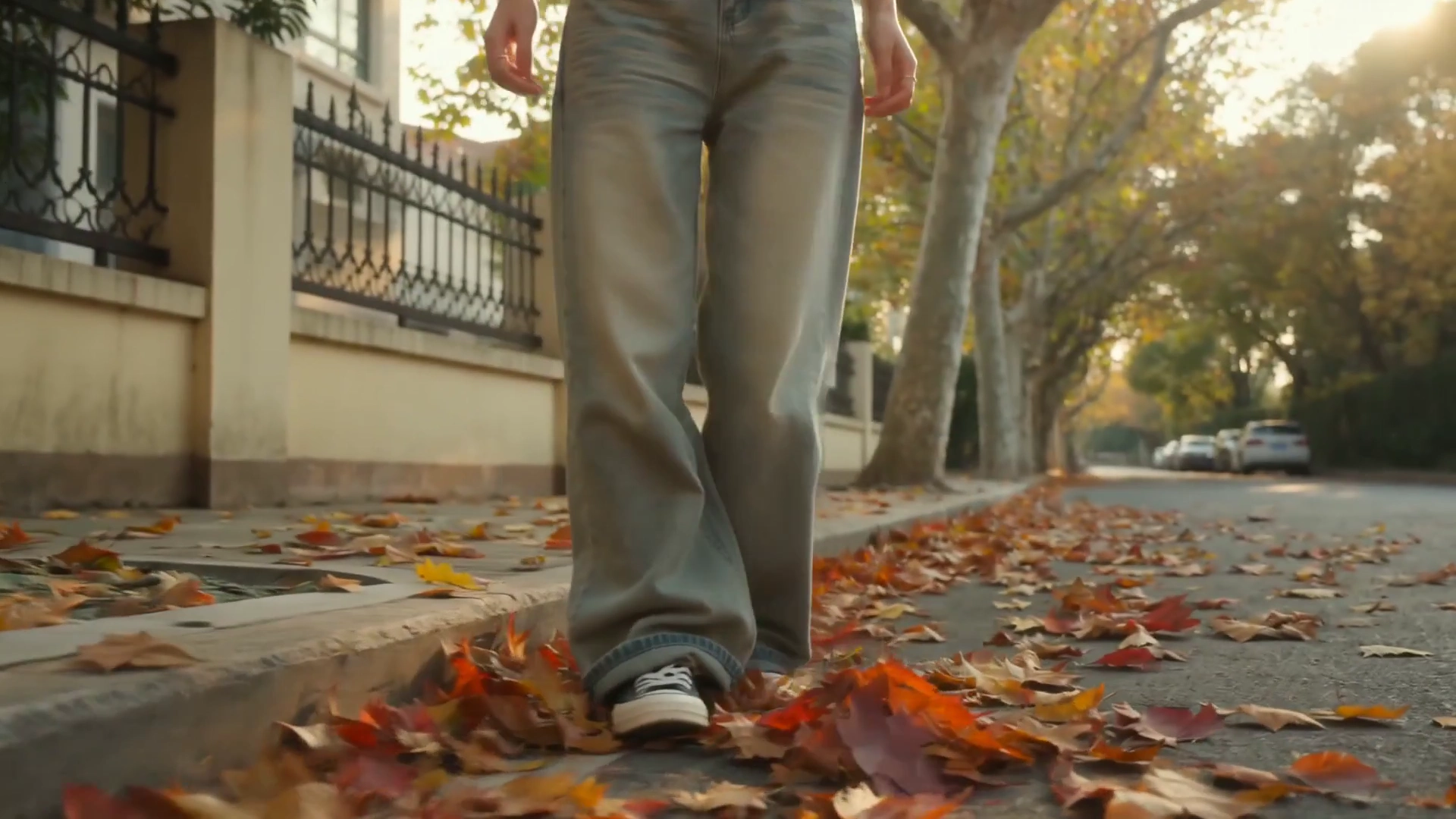 Casual Street Walk Captures Falling Leaves and Warm Sunbeams