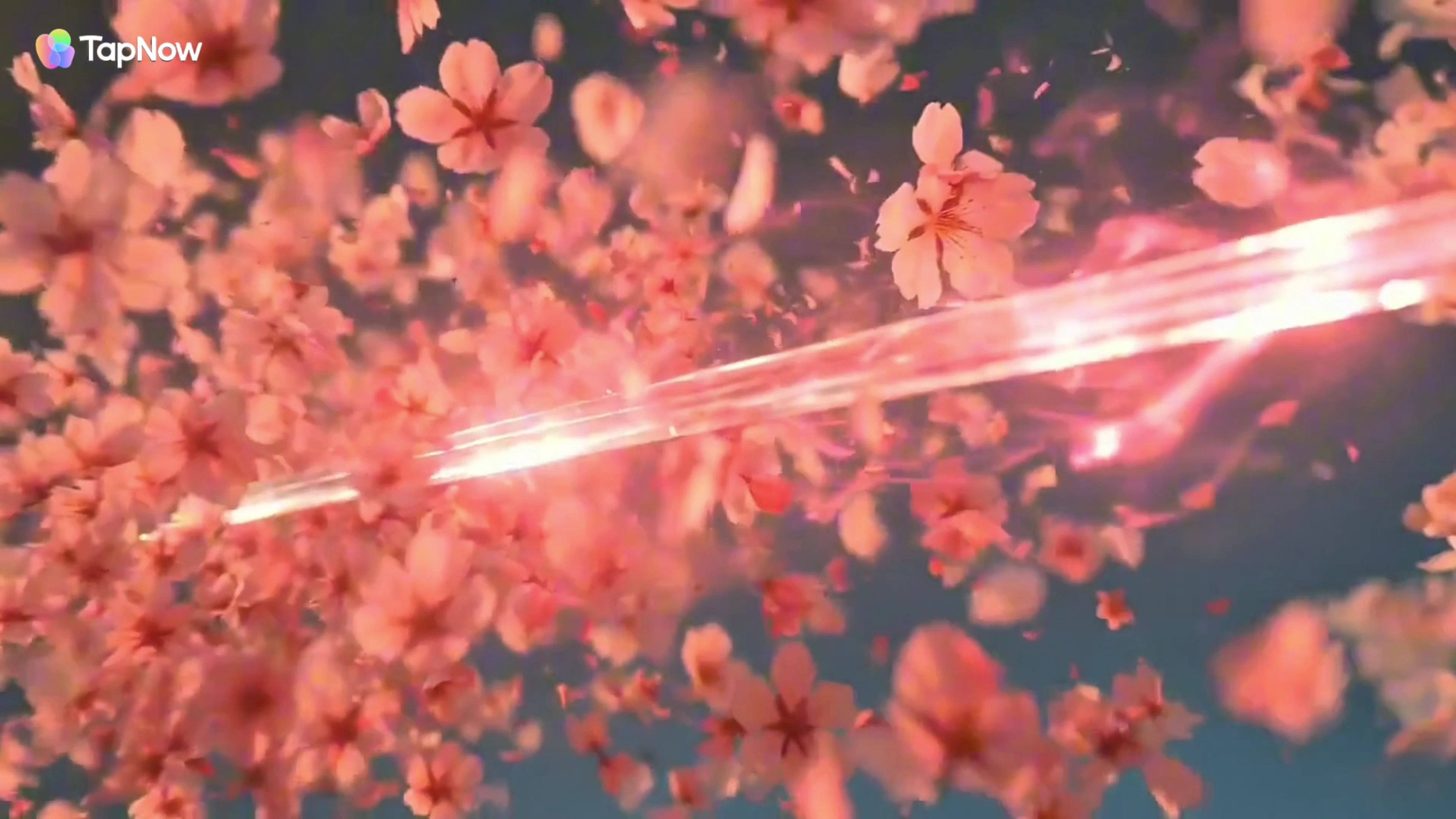 Cherry Blossom Afterimages Trace the Path of a Samurai's Blade