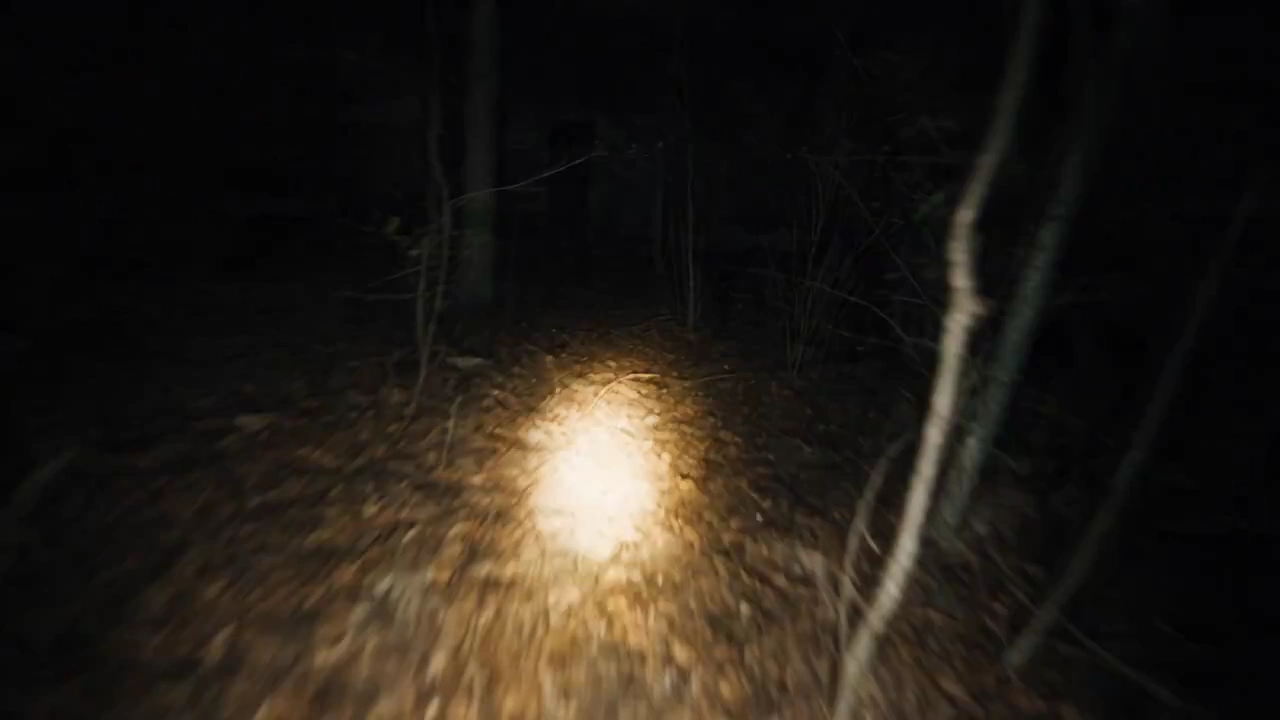 Lost in the Woods, His Camera Captures the Unsettling Presence Inside