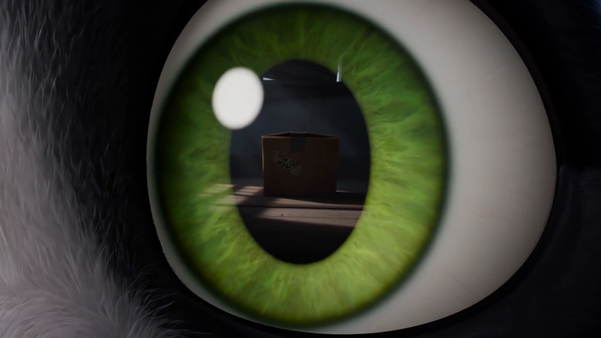 Box Mystery Terrifies a Feline Before a Playful Robot Reveal