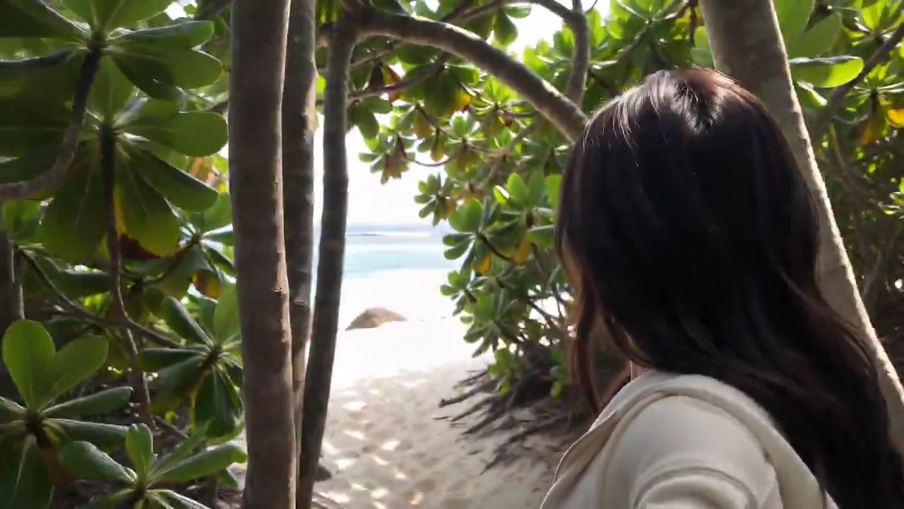 Handheld Footage Shows a Spontaneous Island Day from Trail to Tide