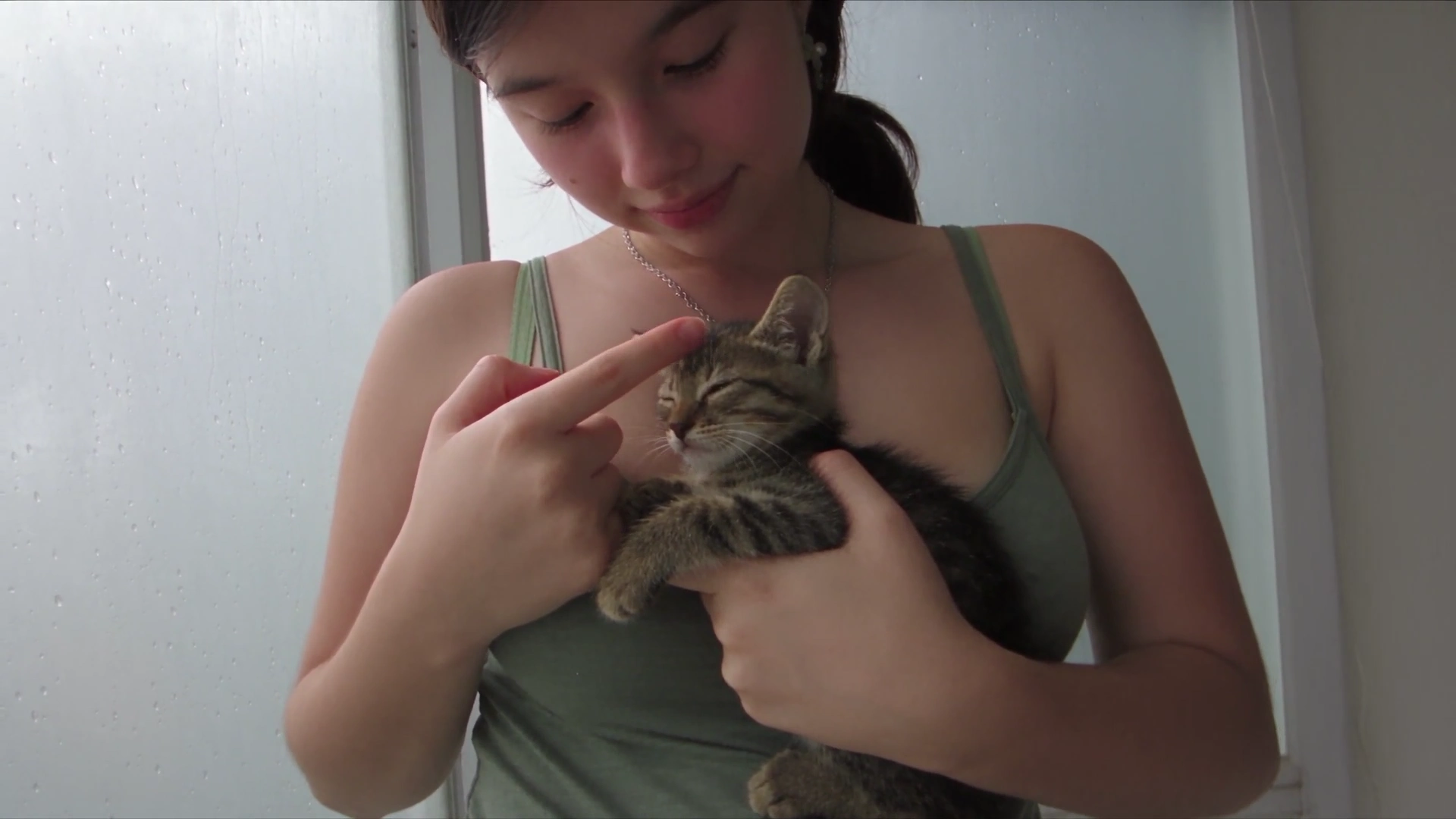 Playful Tabby Kitten Turns Quiet Window Selfie Into Camera Attack
