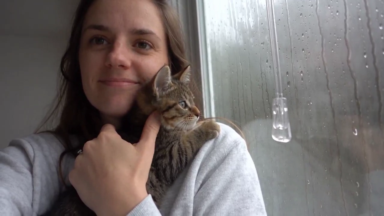 Curious Tabby Kitten Interrupts Woman's Cozy Rainy Window Selfie