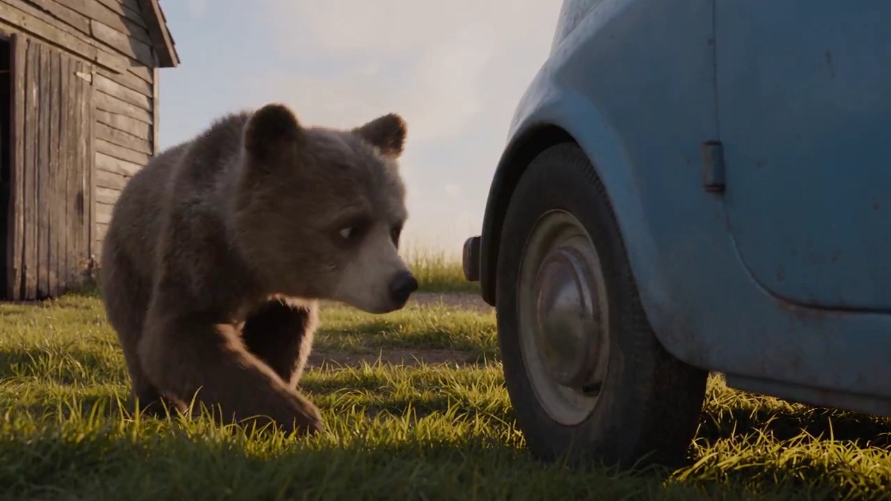 Curious Bear Cub Drives Old Blue Car Through Golden Farmland