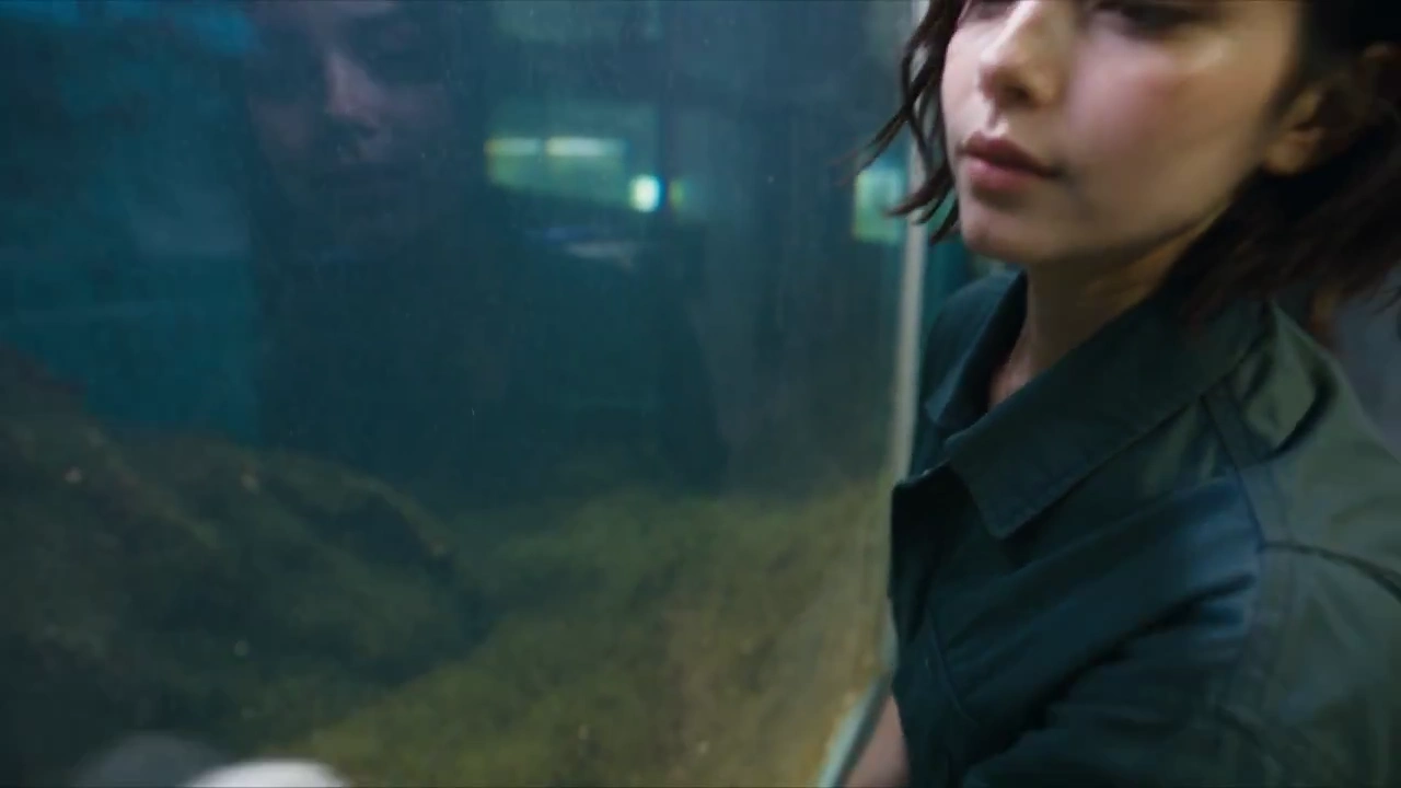Young Cleaner Watches Silver Fish in Sudden Aquarium Blackout