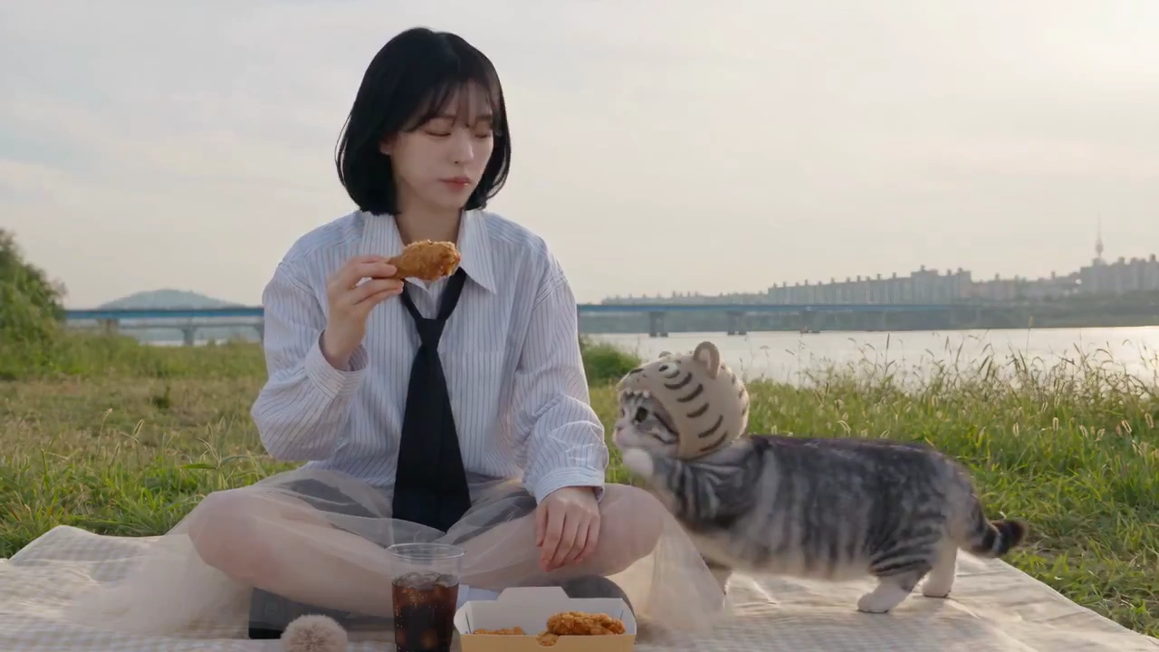 Fluffy Tiger Hood Kitten Joins Riverside Feast At Sunset