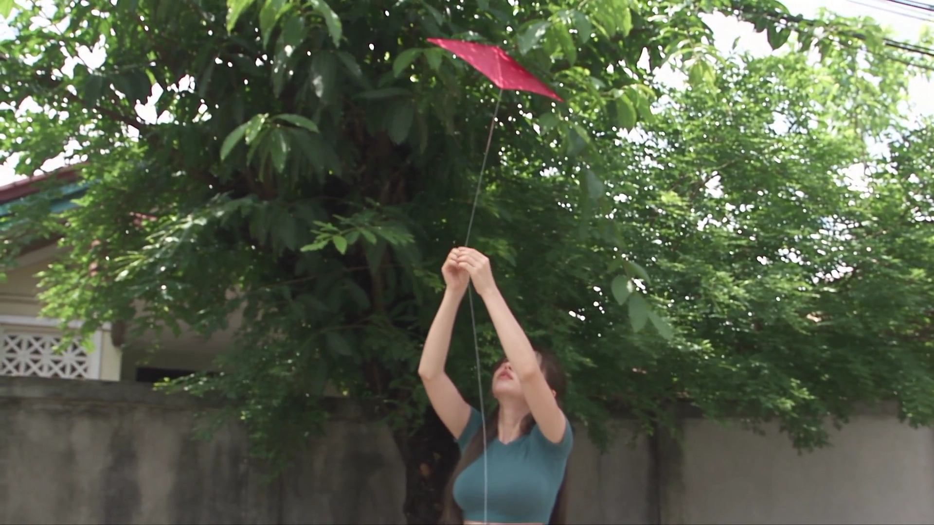 Girl Frees Tangled Kite Then Cradles a Fallen Bird