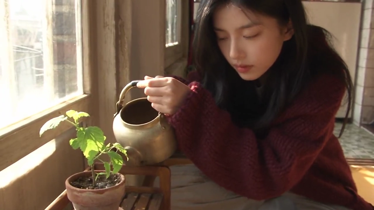 Sunlit Seoul Apartment Reveals a Tiny New Leaf to Candid Camcorder