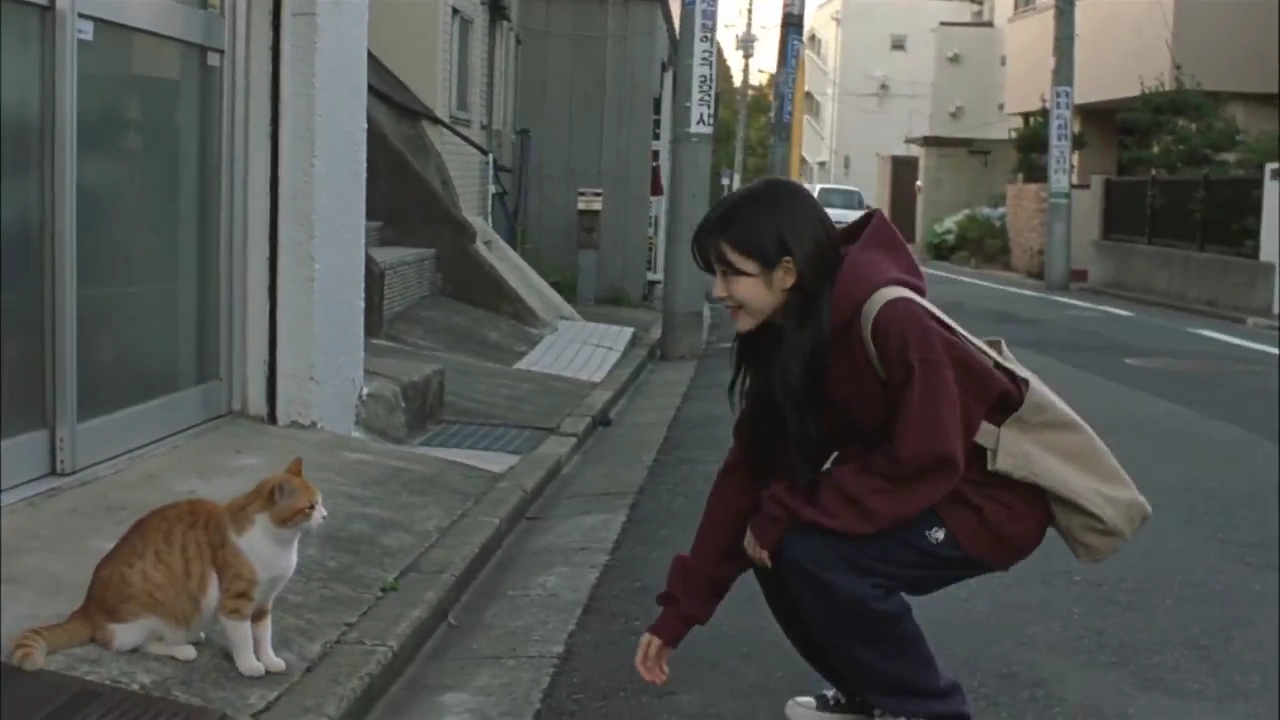 Ginger Cat Initially Rejects Then Rubs Against Crouching Girl's Shoe