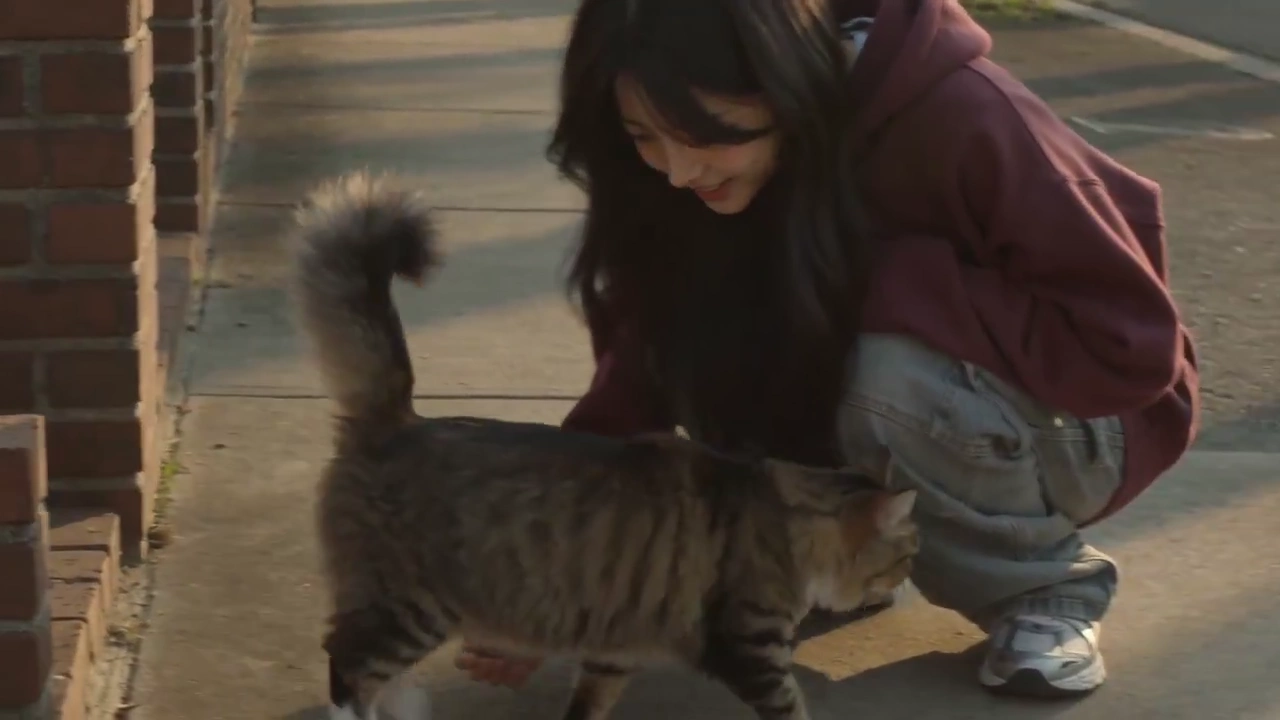 Woman Follows Curious Stray Cat Around Quiet Sidewalk