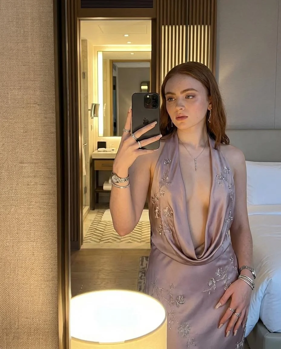 Elegant Mirror Selfie in Mauve Silk with Intricate Silver Embroidery