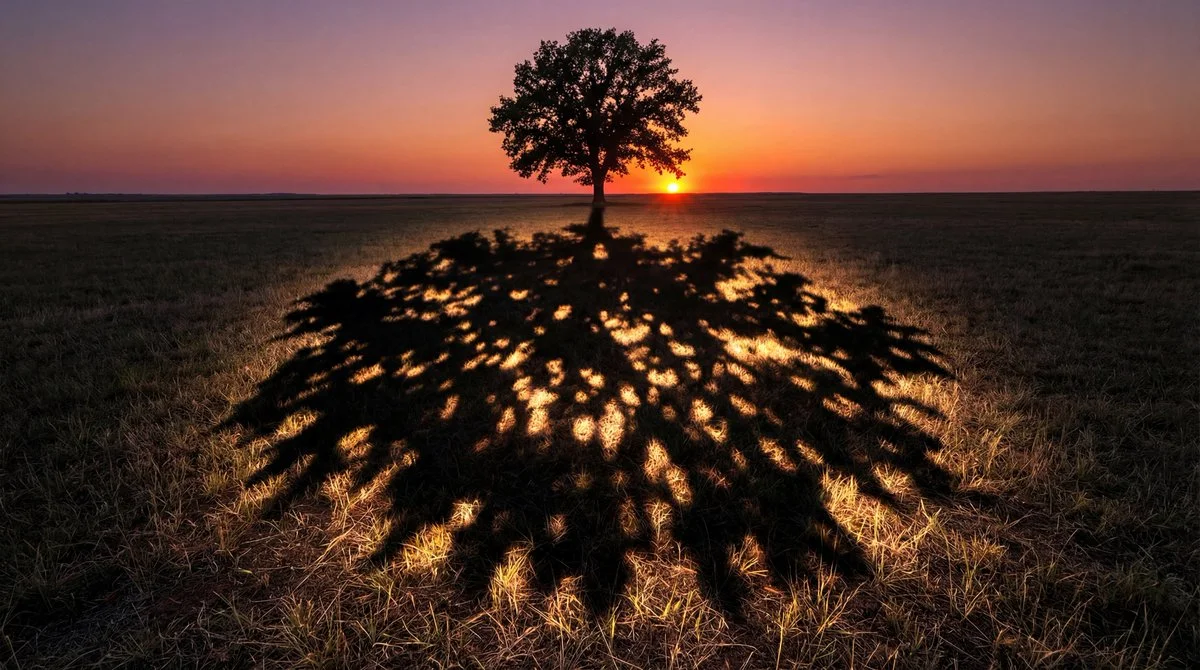 Enchanted Shade: A Tree of Light