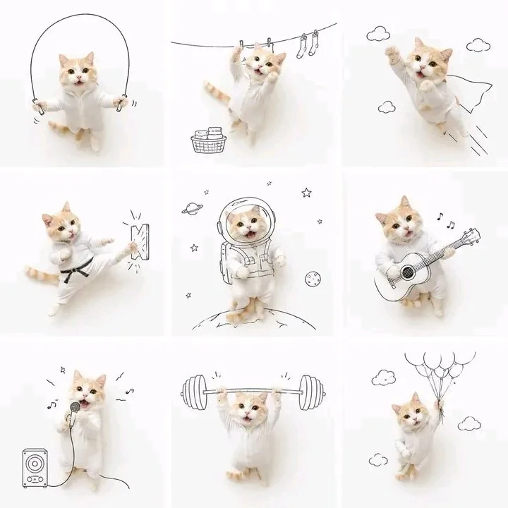 Fluffy orange kitten explores nine whimsical adventures in scrapbook style