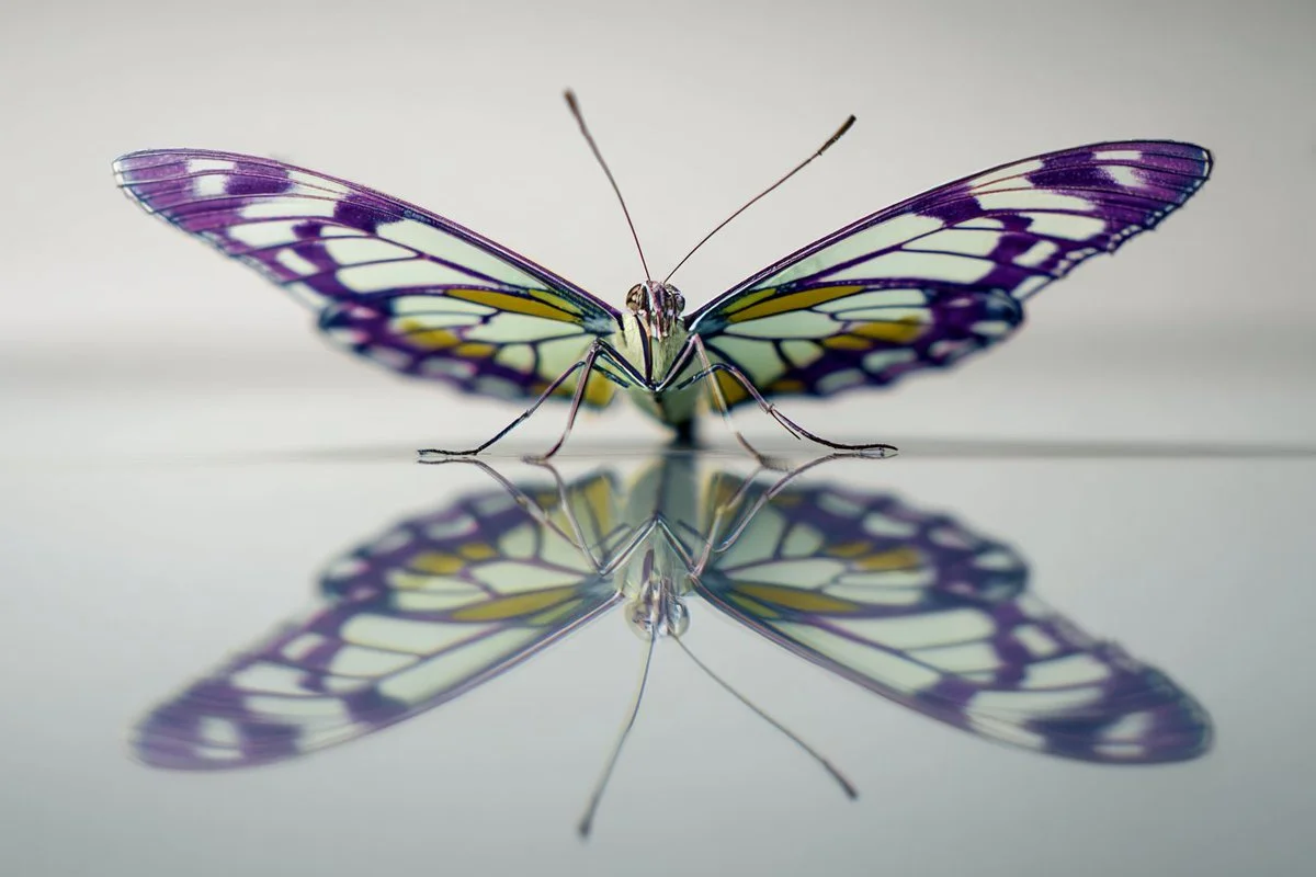 Mind-Bending Anamorphic Distortion in Color