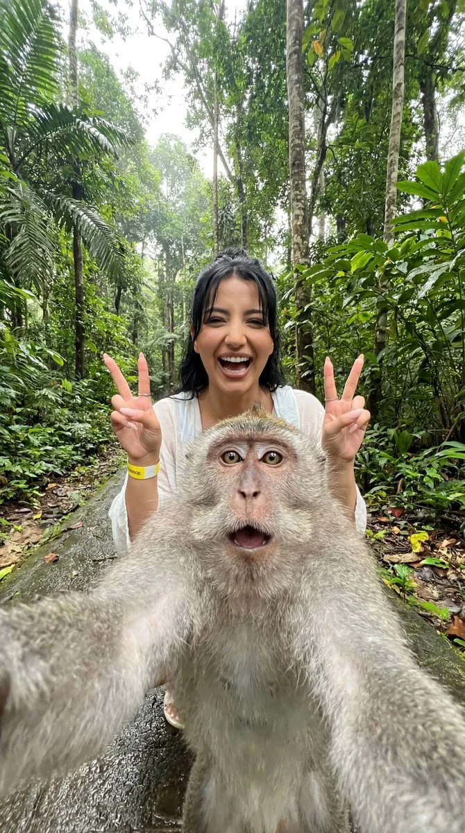 Monkey Selfie Madness in a Lush Jungle