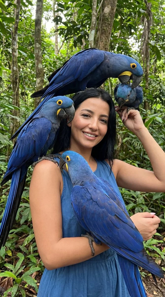 Serene Elegance: A Tropical Harmony of Woman and Macaws