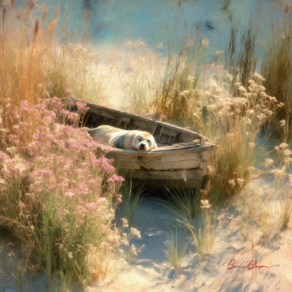 Serene Slumber: Seal Resting in a Gentle Meadow Boat