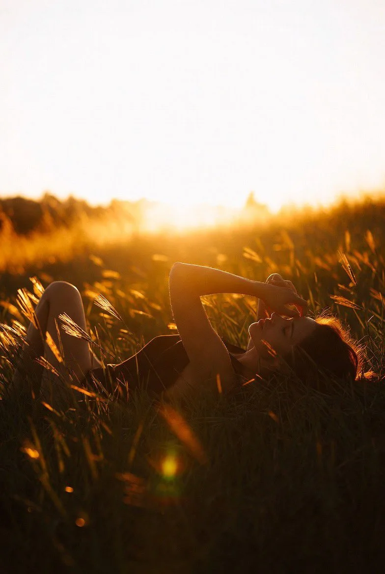 Serenity in Golden Grasses