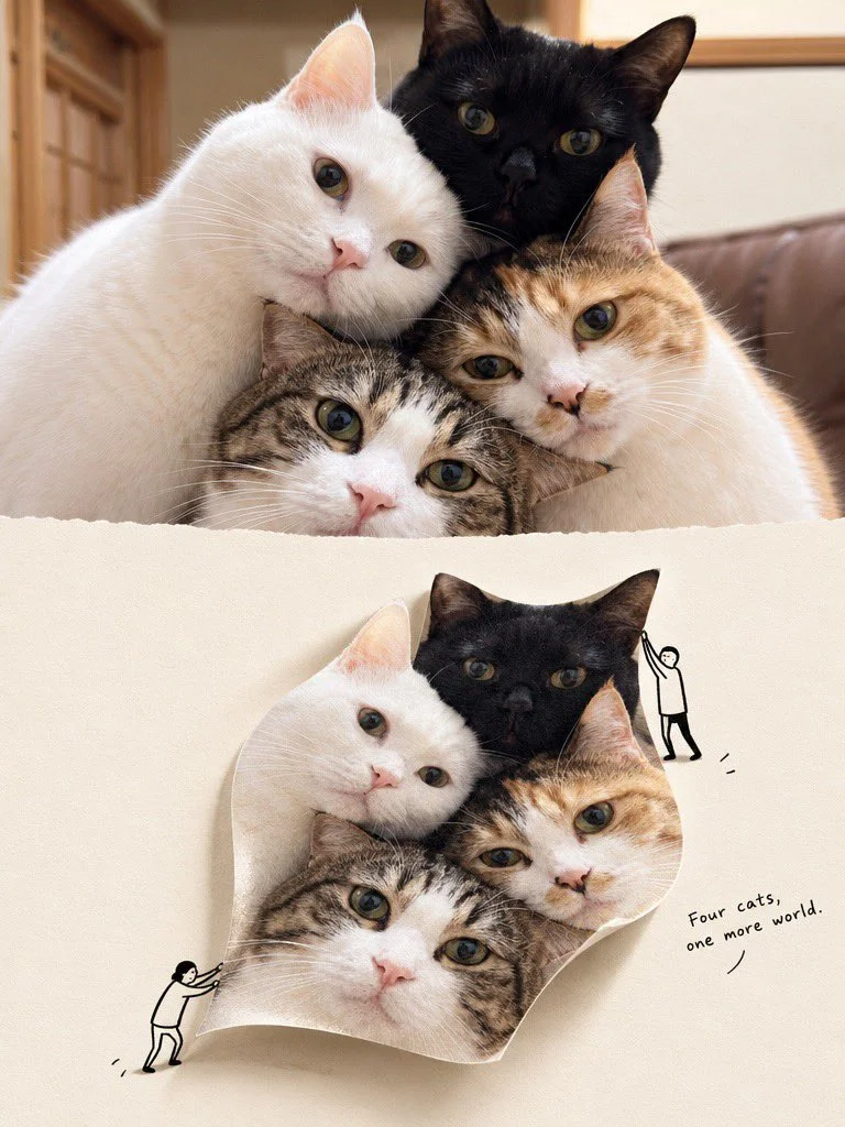 Split Reality: Photograph Becomes 3D Paper Sculpture Art