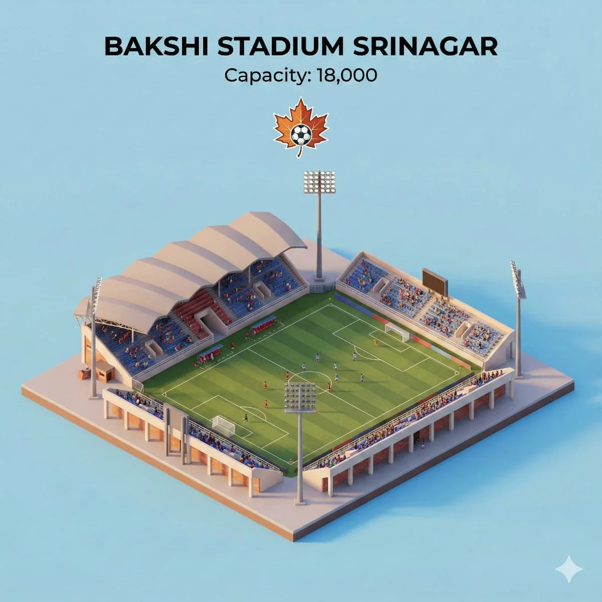 Stadium Serenity: Bakshi in 3D