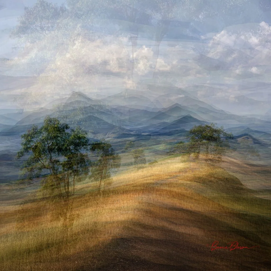 Temporal Echoes: A Landscape of Repeated Moments