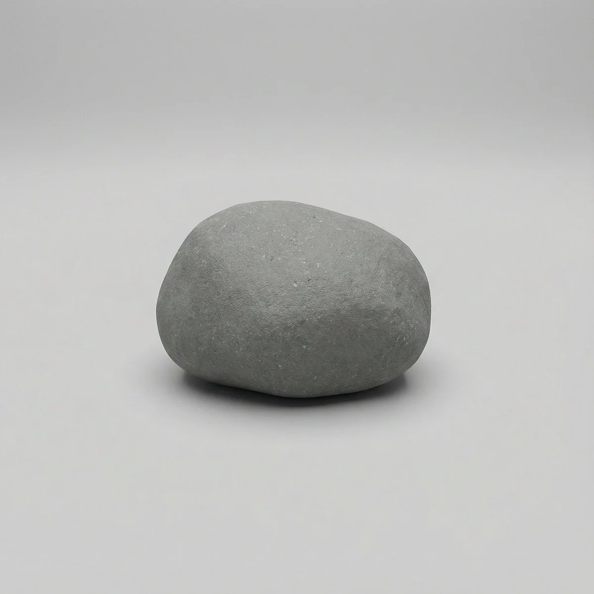 The Unassuming Star: A Rock's Quiet Moment