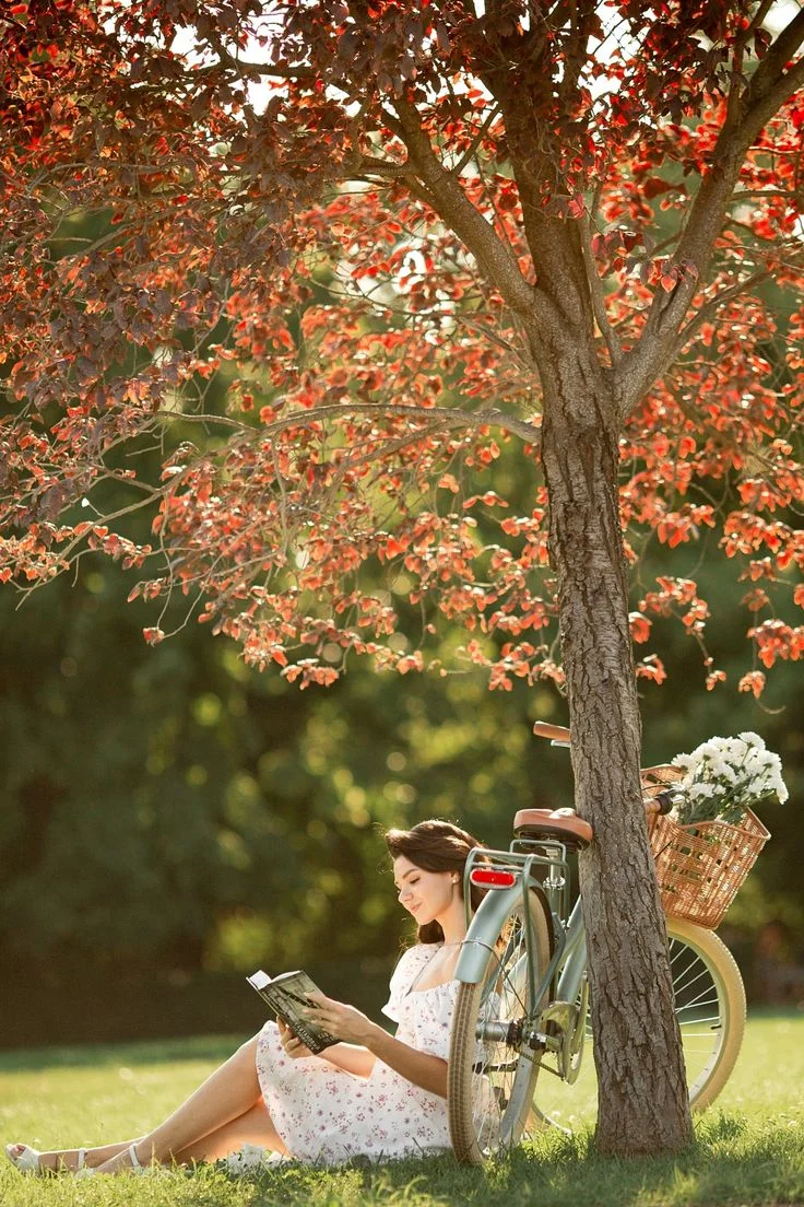 Whispers of Autumn: A Tranquil Reading Retreat